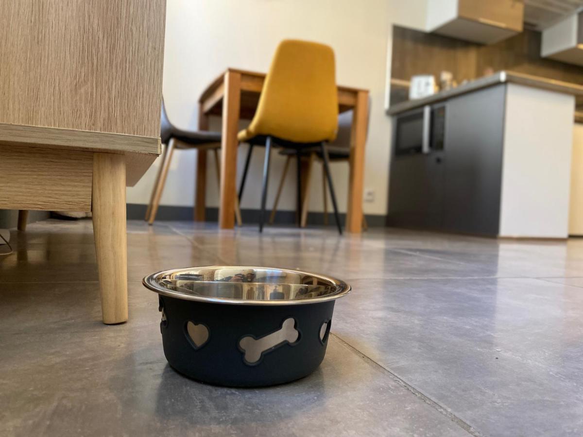 Exceptionnel ! Superbe Appartement Refait A Neuf En Rez-De-Chaussee Avec Parking Prive Castres  Exterior foto